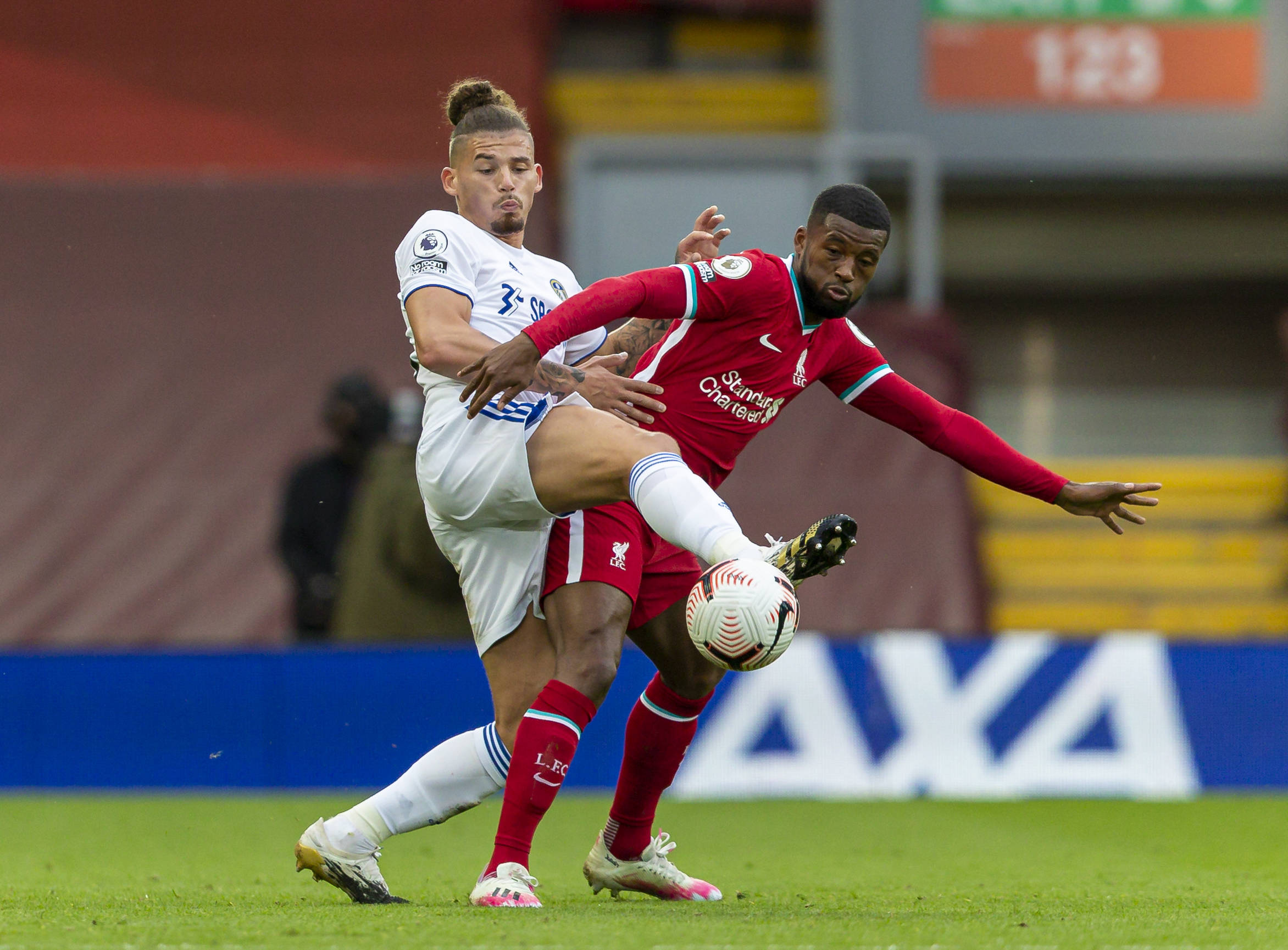 该县的乡村 该县的乡村