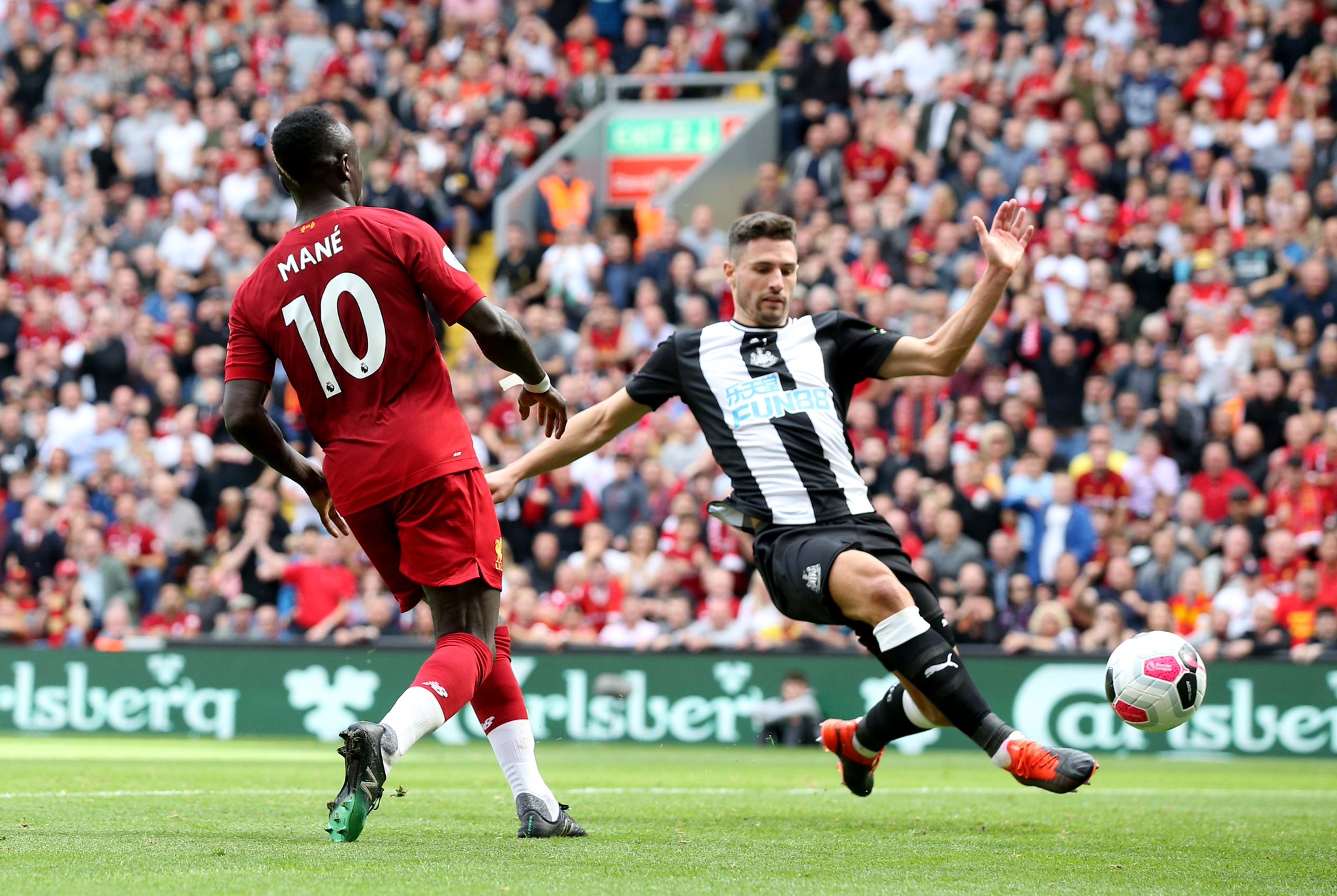 这些生动的 这些生动的